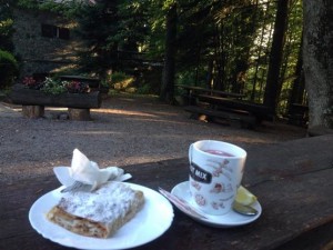 Apple Strudel on a Mountain Top