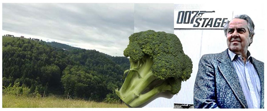 Broccolis