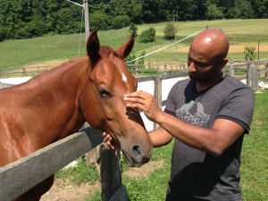 Petting my first horse in Krsko