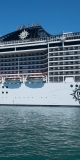 City Sized Cruiseship