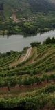 Douro Valley Wine Tasting tour.