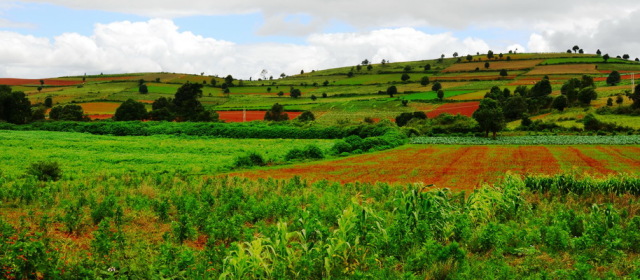 Inle: Introducing Shan State