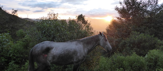 A Love Affair with Horses-3: Drunk Aussies in Vilcabamba